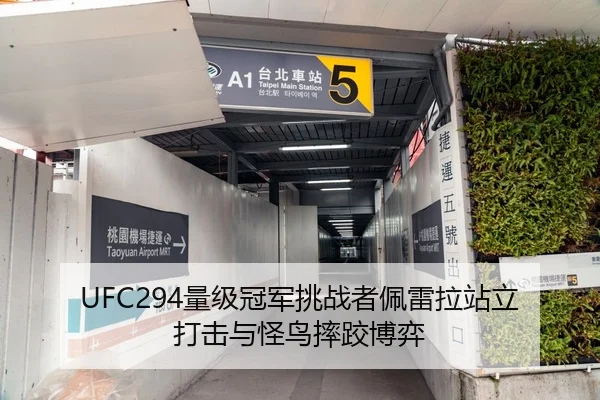 UFC294量级冠军挑战者佩雷拉站立打击与怪鸟摔跤博弈