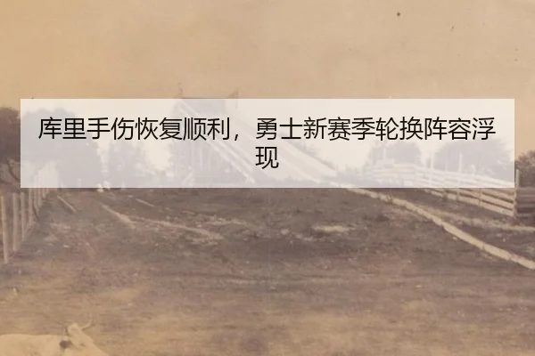 库里手伤恢复顺利，勇士新赛季轮换阵容浮现