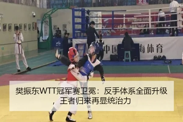 fan-zhen-dong-guan-jun-sai-wei-mian-fan-shou-ti-xi-quan-mian-sheng-ji-wang-zhe-gui-lai-zai-xian-tong-zhi-li-3-988.jpg