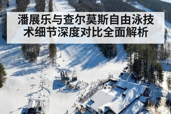 潘展乐与查尔莫斯自由泳技术细节深度对比全面解析