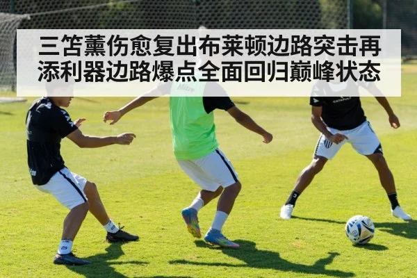 三笘薰伤愈复出布莱顿边路突击再添利器边路爆点全面回归巅峰状态